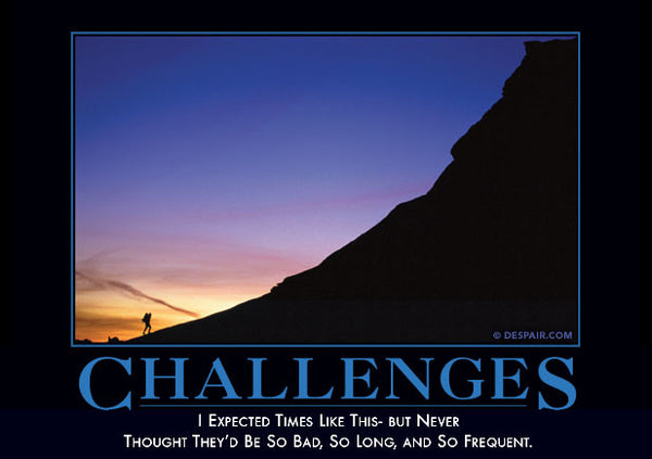 Challenges 24x30 Demotivational Poster