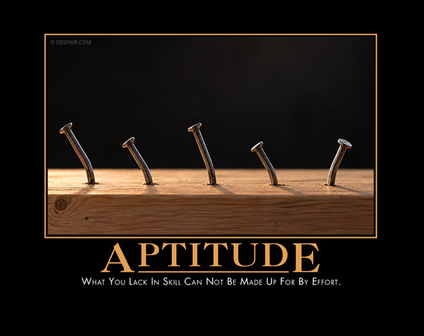 2027 Demotivators® Wall Calendar