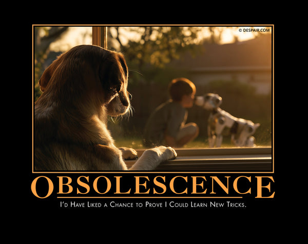 2027 Demotivators® Wall Calendar