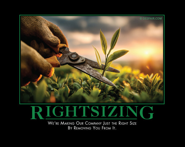 2026 Demotivators® Wall Calendar