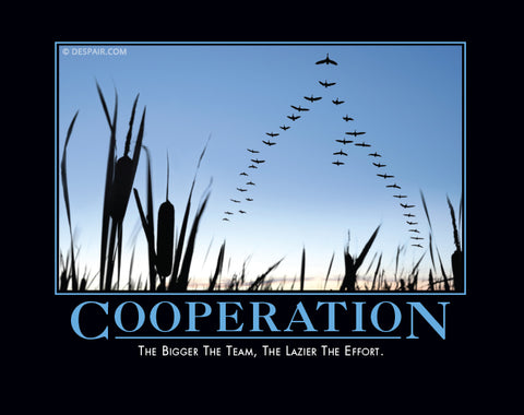 Cooperation