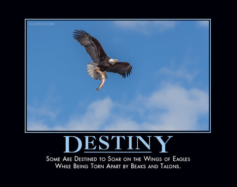 Destiny-Soar