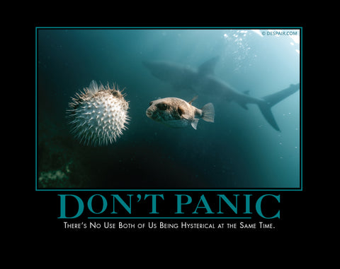Don't Panic