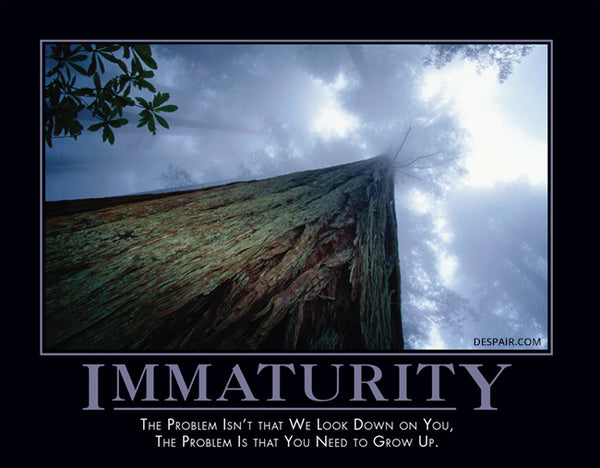 2024 Demotivators® Wall Calendar - Despair, Inc. 2024 Demotivators® Wall Calendar - Despair, Inc.