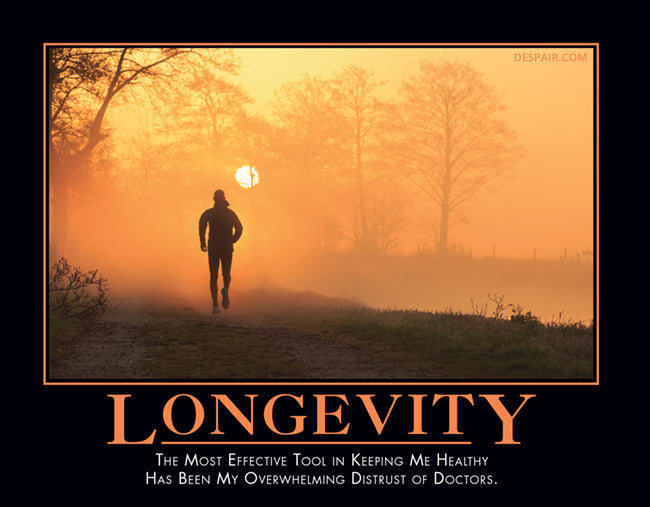 2024 Demotivators® Wall Calendar Despair, Inc.