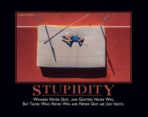 Stupidity
