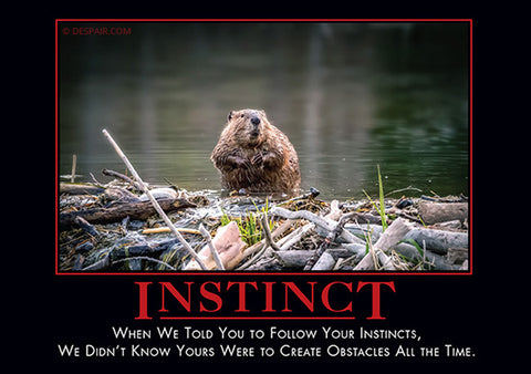 Instinct