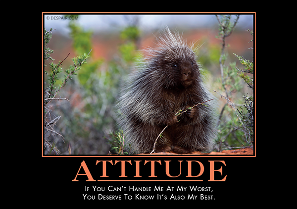 Attitude