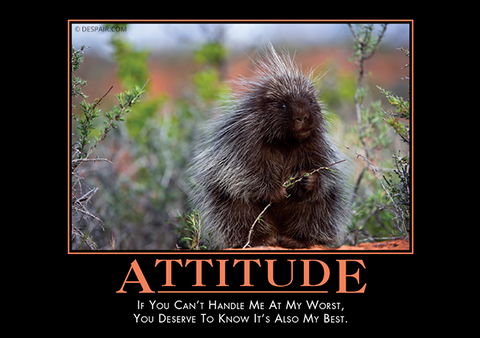 Attitude