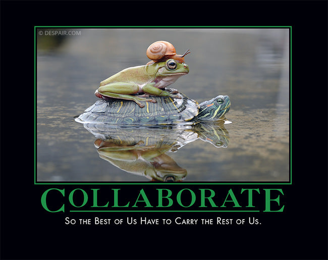 Funny Collaboration Pictures