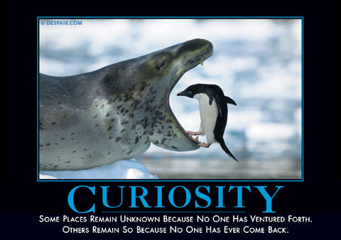 Curiosity