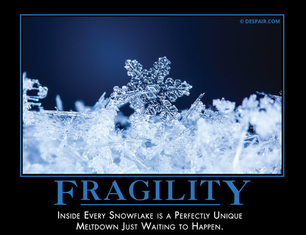 Fragility - Despair, Inc.