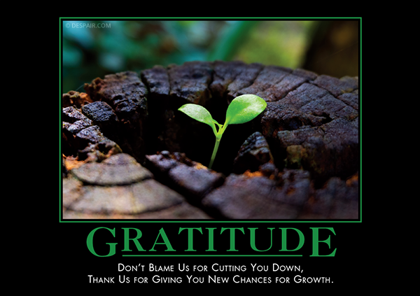 Gratitude