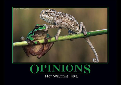Opinions