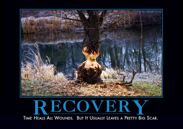 Recovery