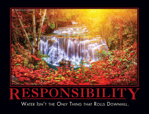 Responsibility