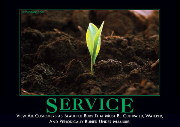 Service