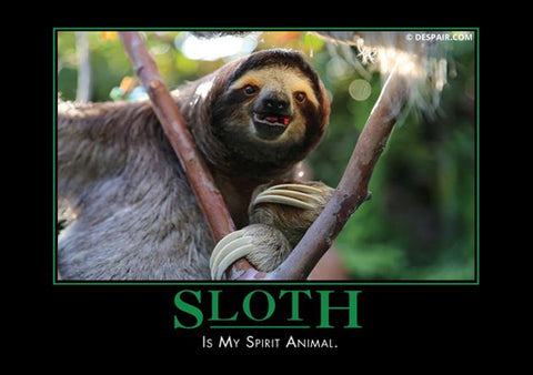 Sloth