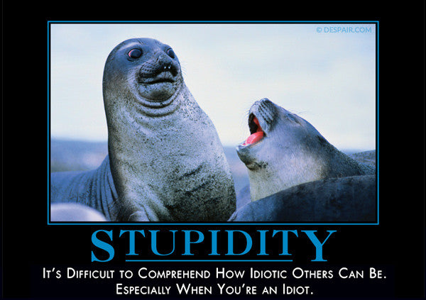 Stupidity-Sea Lion