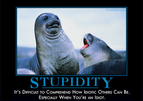 Stupidity-Sea Lion