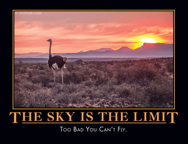 The Sky is the Limit