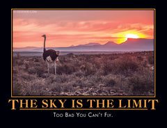 the-sky-is-the-limit_medium.
