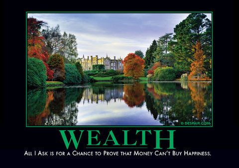 Wealth