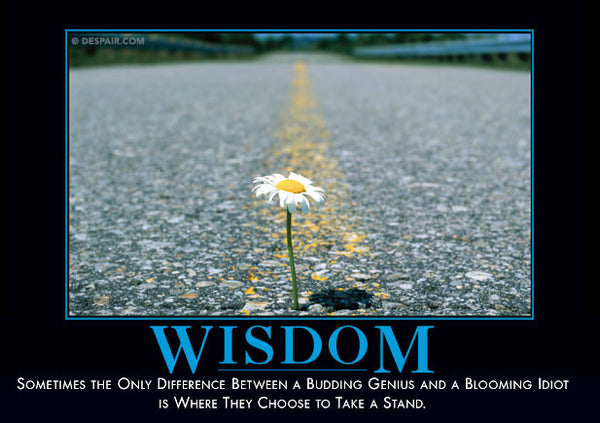 Wisdom